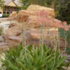 Lg. True Hawaiian Soap Aloe Plant (aloe saponaria)