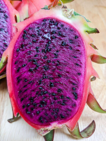 Alternative view of Costa Rican Cebra Dragon Fruit Plant (hylocereus polyrhizus)