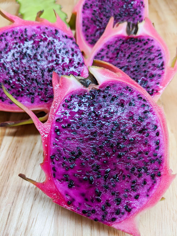 Makisupa Dragon Fruit Plant (hylocereus polyrhizus) - Image 9