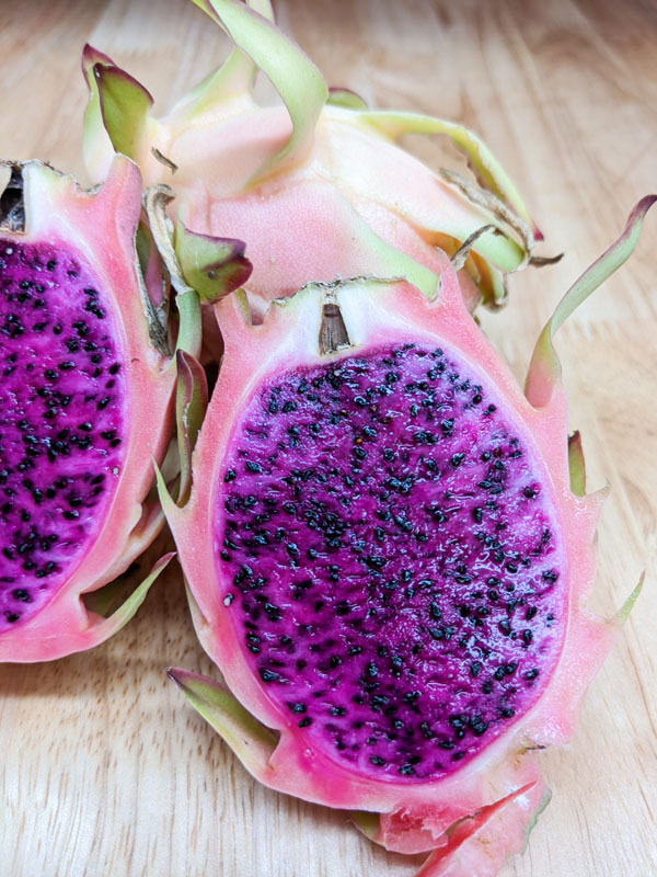 Makisupa Dragon Fruit Plant (hylocereus polyrhizus) - Image 8