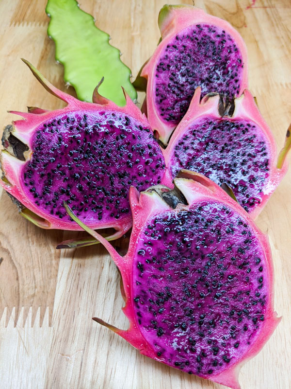 Makisupa Dragon Fruit Plant (hylocereus polyrhizus) - Image 3