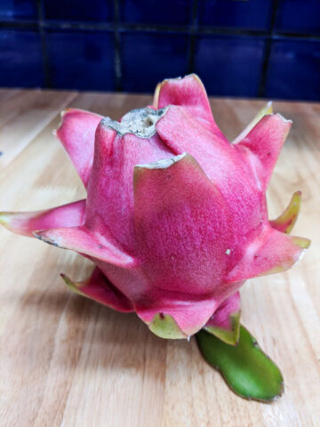 Alternative view of Lite Pink Dragon Fruit Plant (hylocereus polyrhizus)