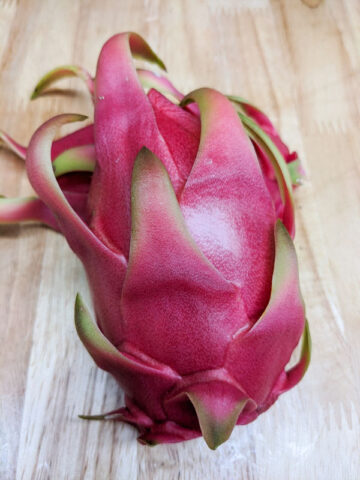 Alternative view of Neitzel White Dragon Fruit Plant (hylocereus undetus)