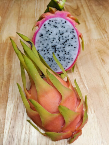 Hawaiian Yellow Squid Dragon Fruit Plant (hylocereus undetus)
