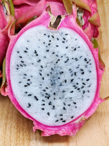 Alternative view of Thai White Dragon Fruit Plant (hylocereus undetus)