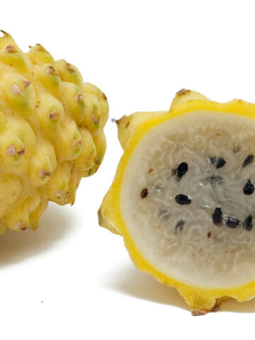 Alternative view of Sweet Yellow Dragon Fruit Plant (selenicereus megalanthus)
