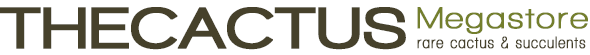 The Cactus Megastore
